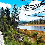 Lägenhet Alpine Aura Hohegeiss *