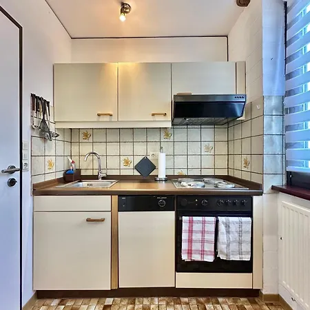 Apartment Alpine Aura Hohegeiss *