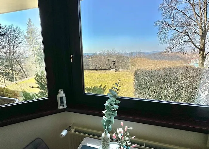 Alpine Aura Hohegeiss 公寓