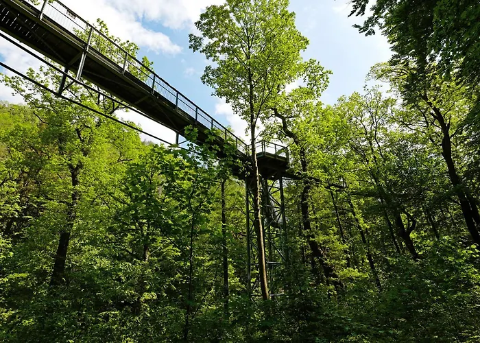 Alpine Aura Hohegeiss Apartman *