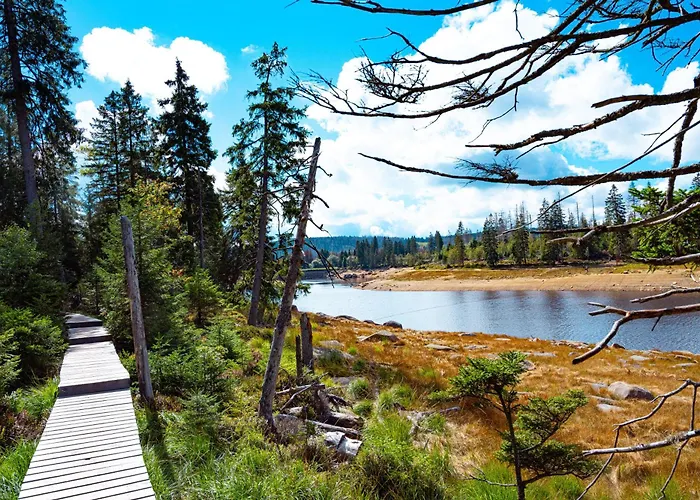 Apartman Alpine Aura Hohegeiss *