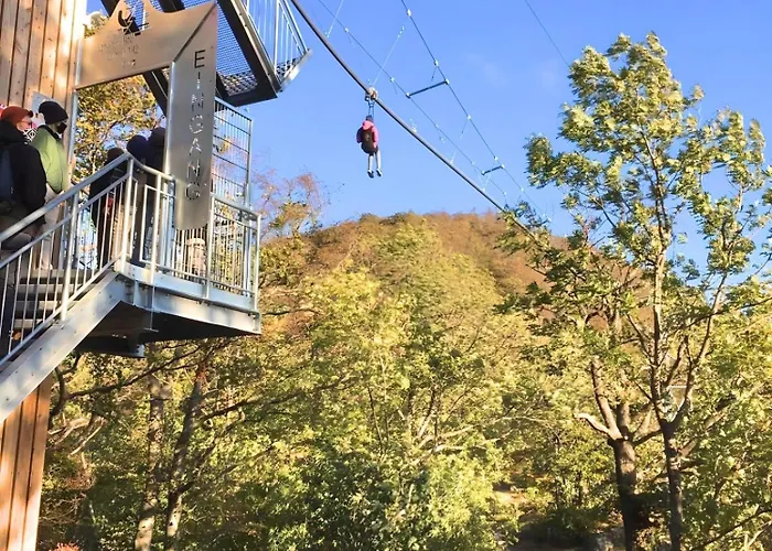 Alpine Aura Hohegeiss 公寓 *