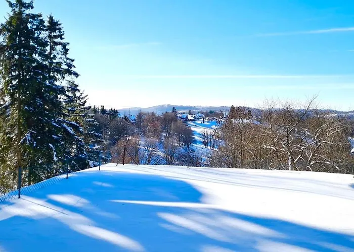 Alpine Aura Hohegeiss 布劳恩拉格